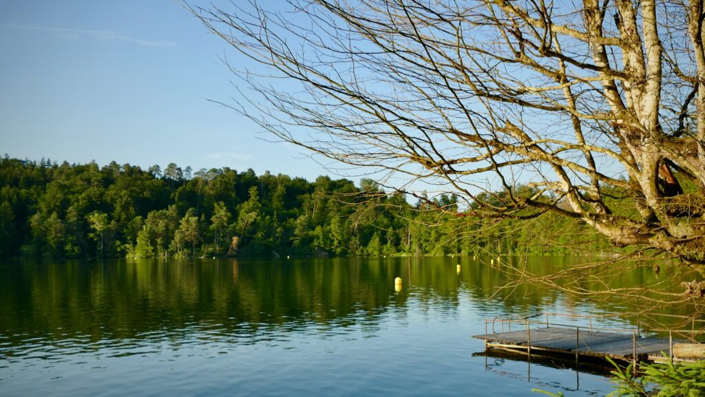Steg am Tüttensee mit Blick auf das Ufer im Sommerlicht