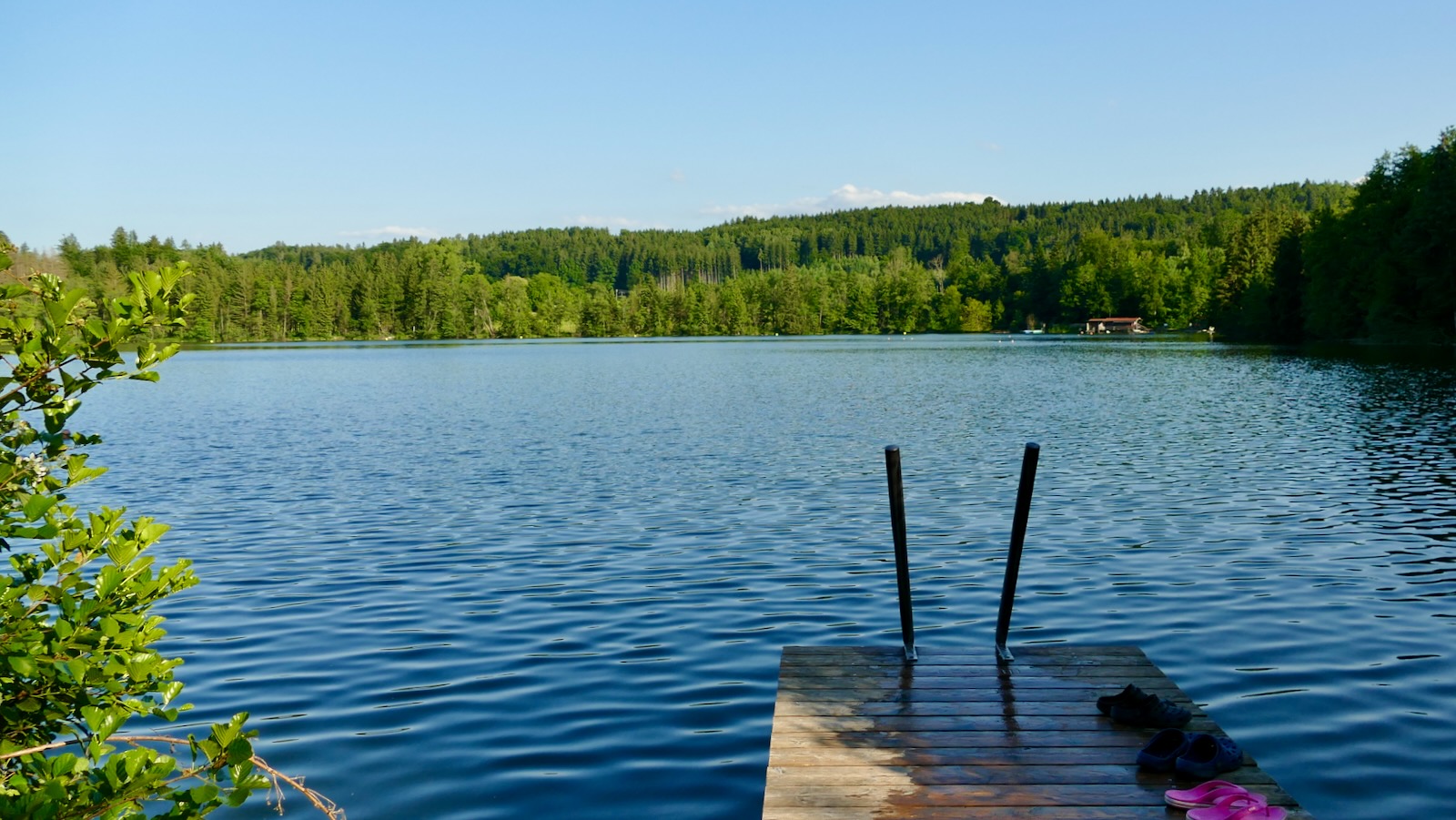 Blick auf den Tüttensee mit Steg – stilles Wasser, umgeben von sommerlichem Grün